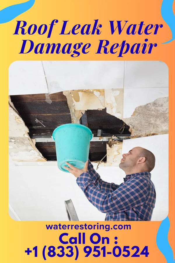 Roof Leak Water Damage Repair in Ogden, IA
